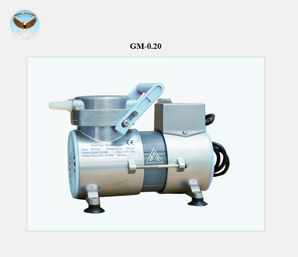 Bơm chân không CHINA GM 0.20